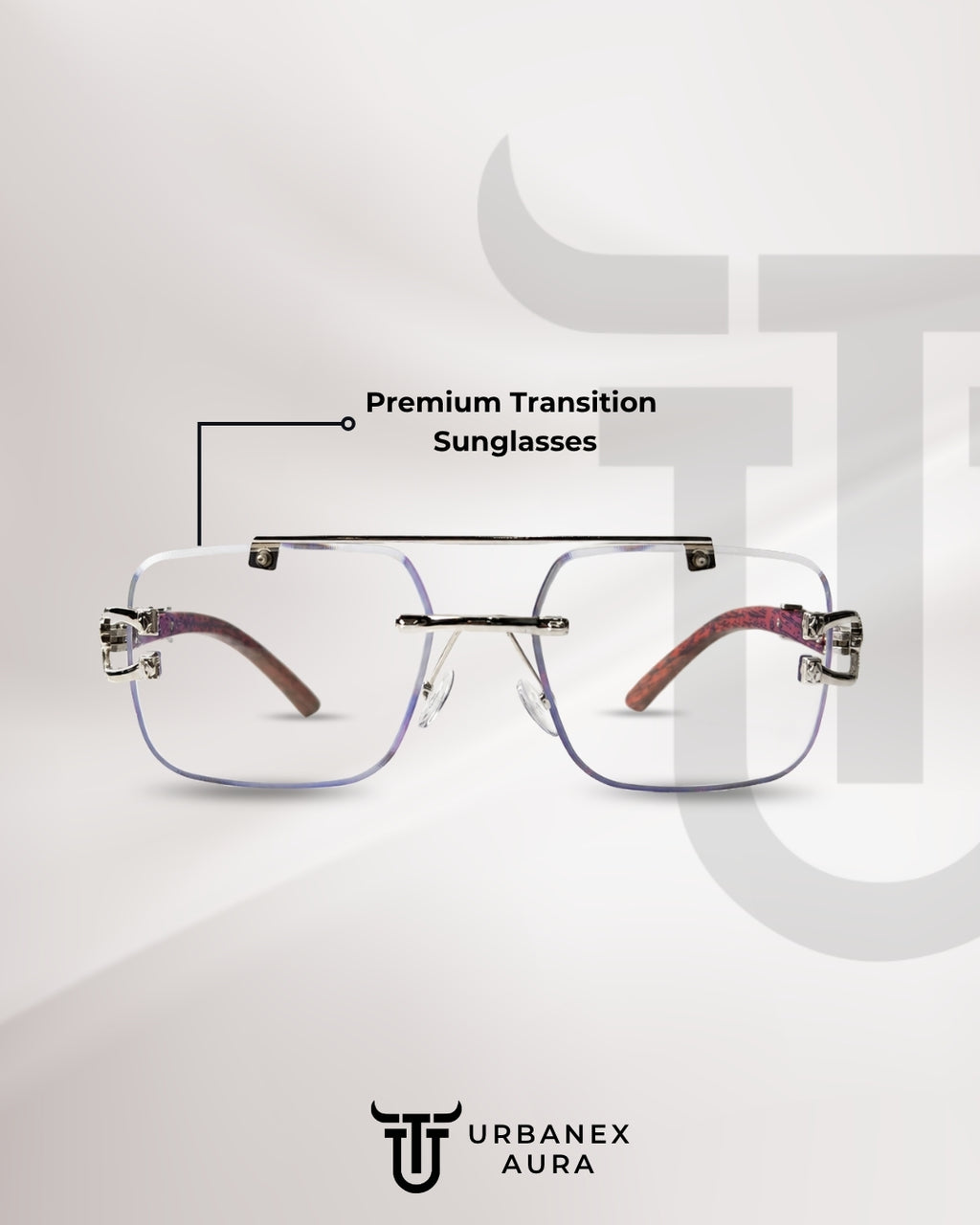Panther Silver Solar Sunglasses