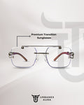 Panther Silver Solar Sunglasses