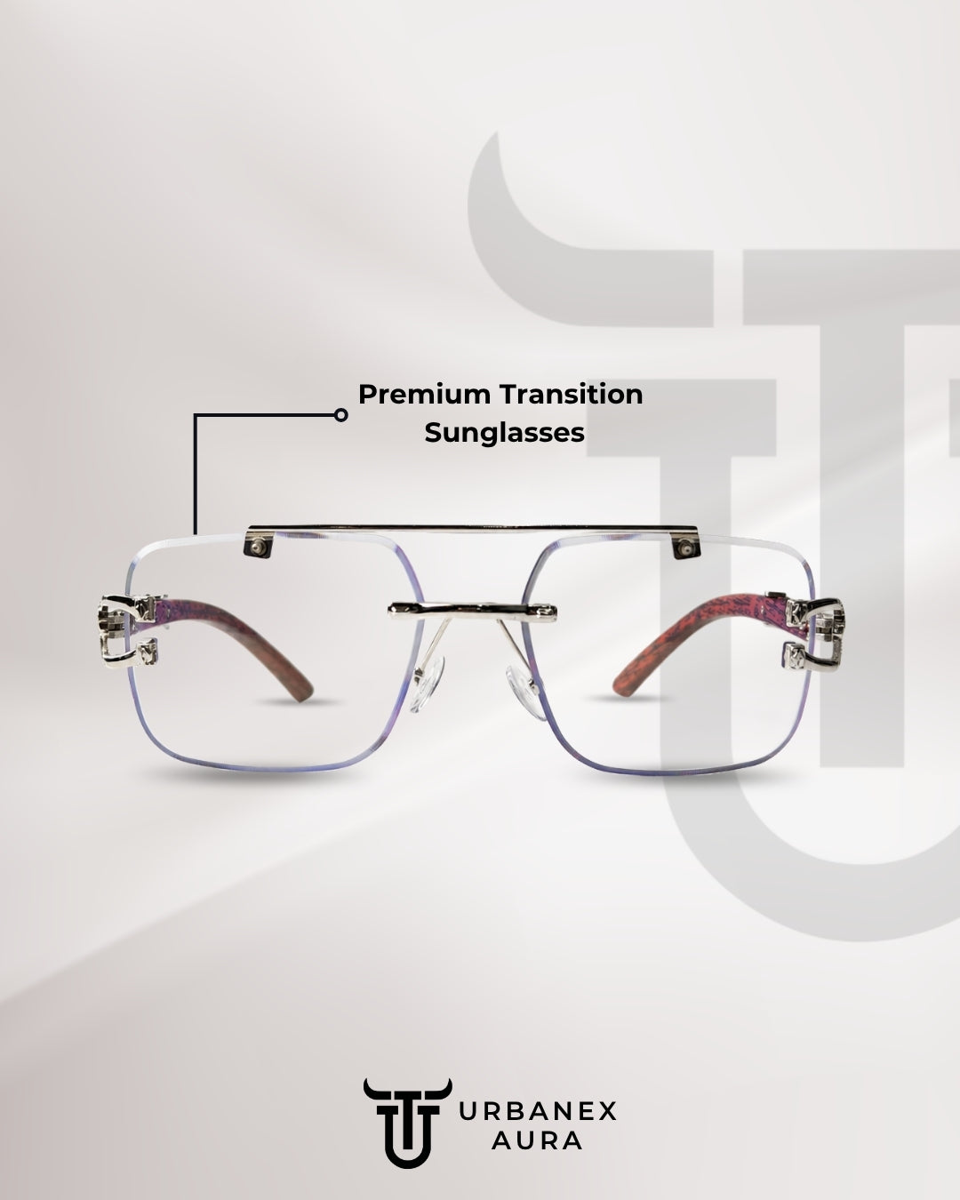 Panther Silver Solar Sunglasses