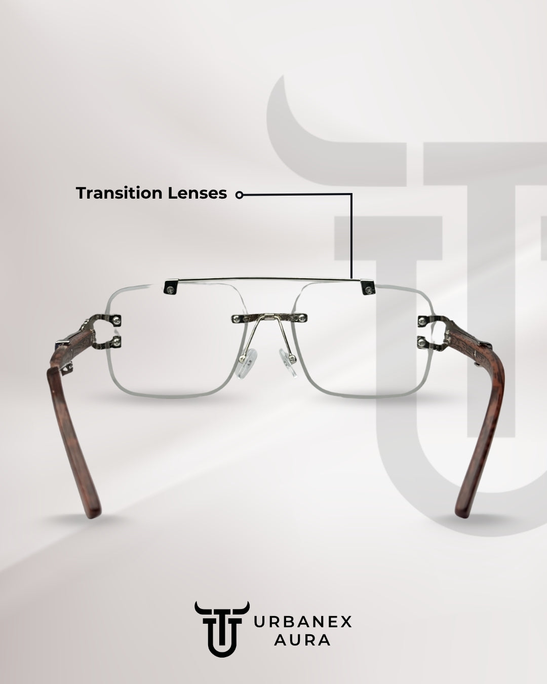 Panther Silver Solar Sunglasses