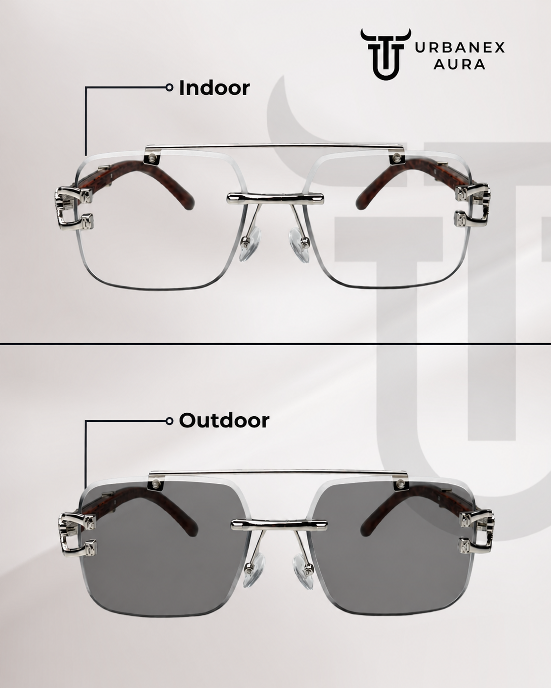 Panther Silver Solar Sunglasses