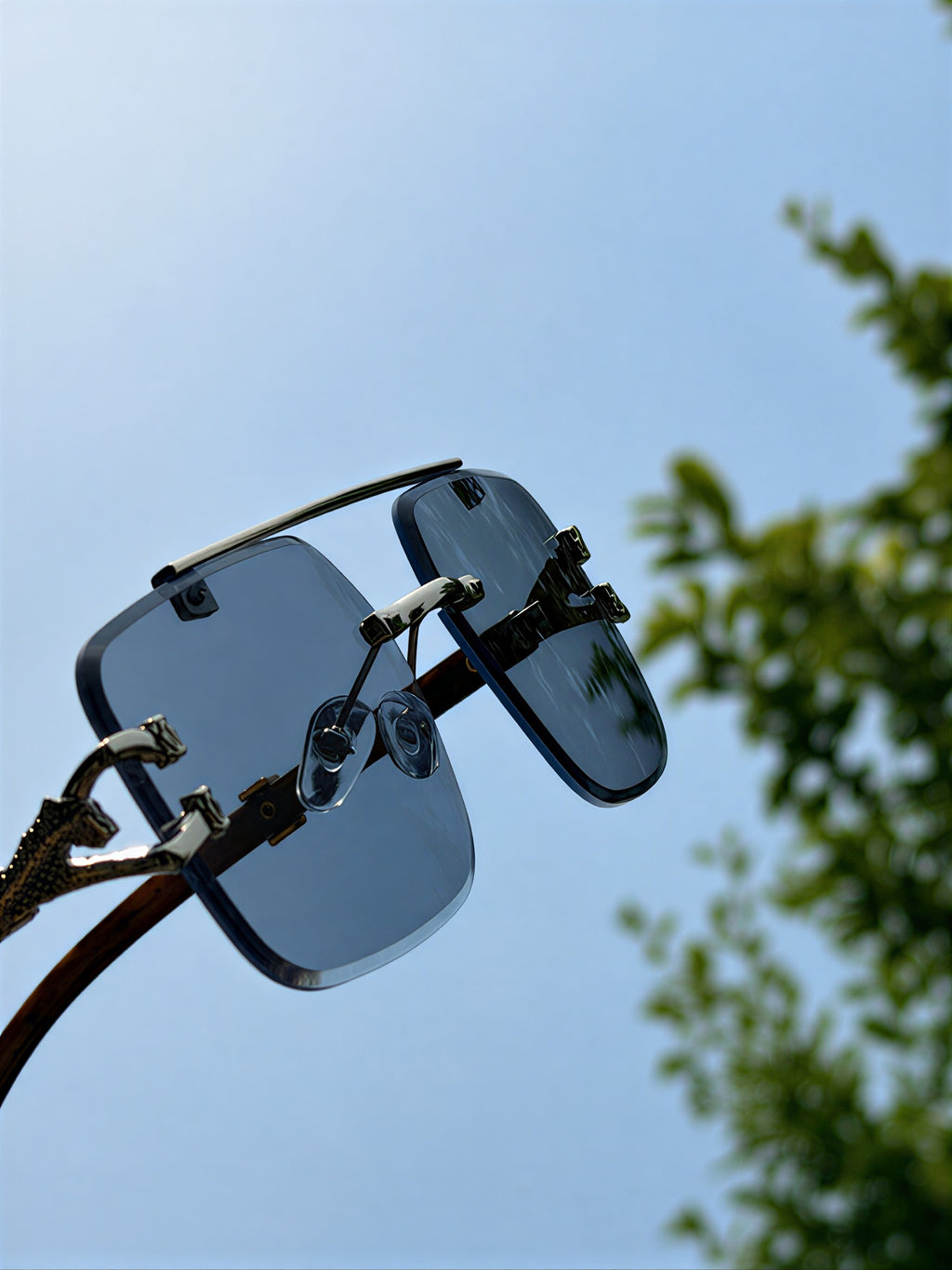 Panther Silver Solar Sunglasses