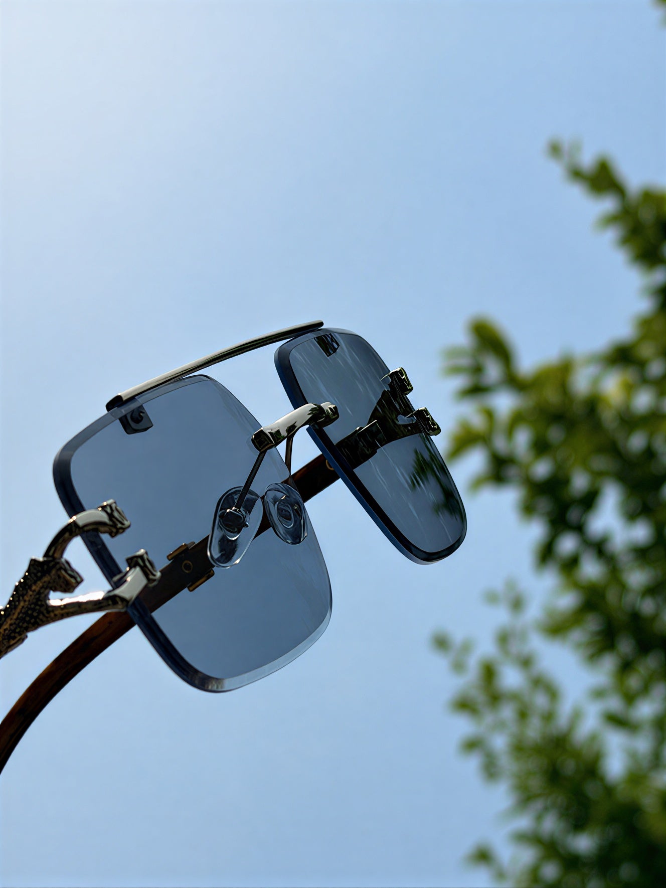Panther Silver Solar Sunglasses