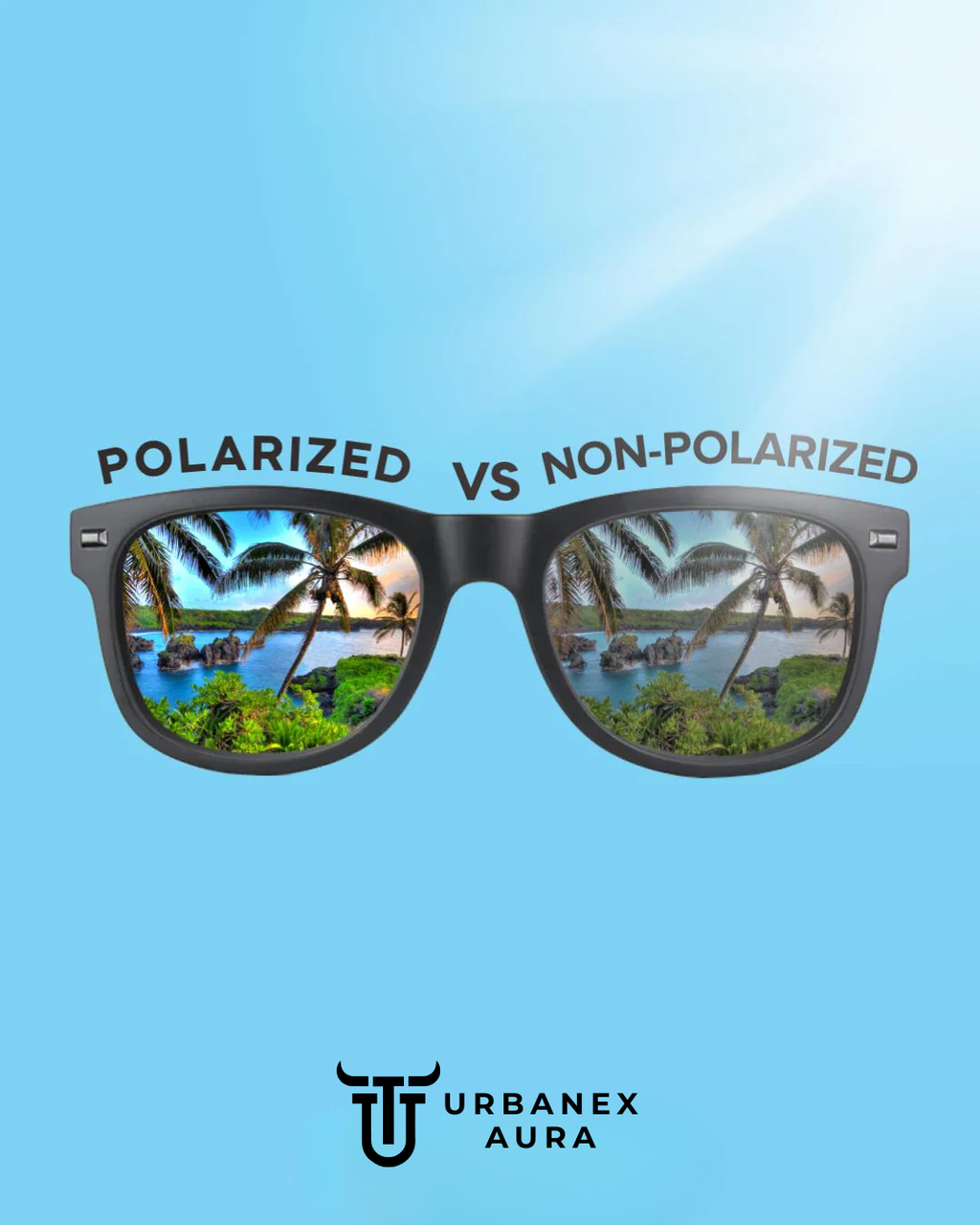 Titan Black Polarized Sunglasses